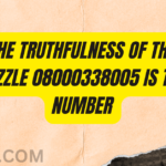 The Truthfulness of the Puzzle 08000338005 is the Number